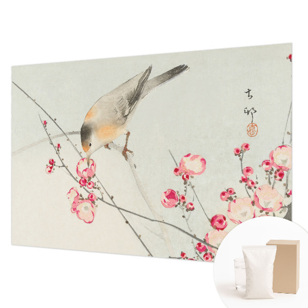 Non-woven fototapet med motiv af en blomsterfugl