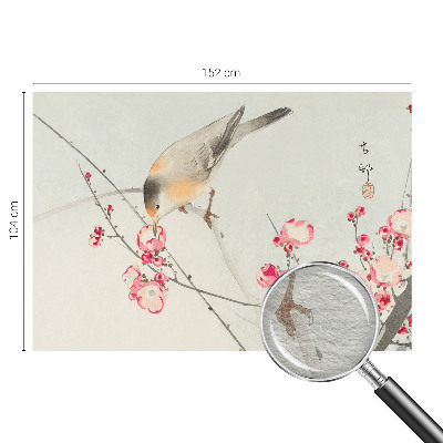 Non-woven fototapet med motiv af en blomsterfugl