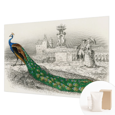 Tapet Farverige fjer