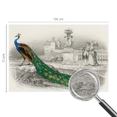 Tapet Farverige fjer