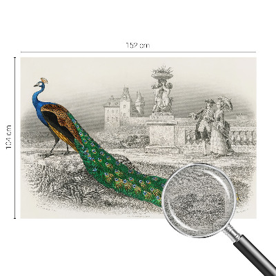 Tapet Farverige fjer