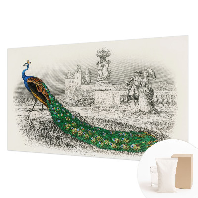 Tapet Farverige fjer