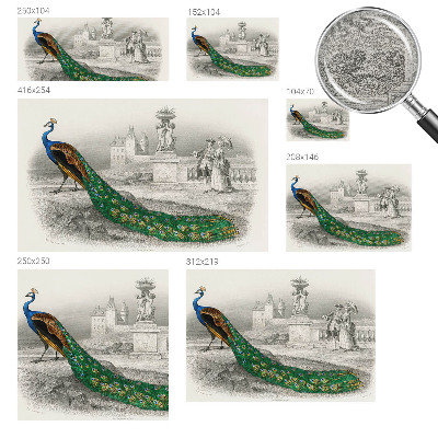 Tapet Farverige fjer