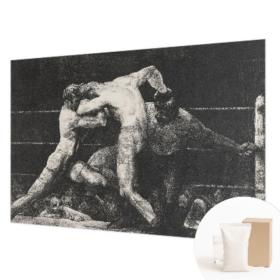 3D fototapet med motiv af boksernes duel