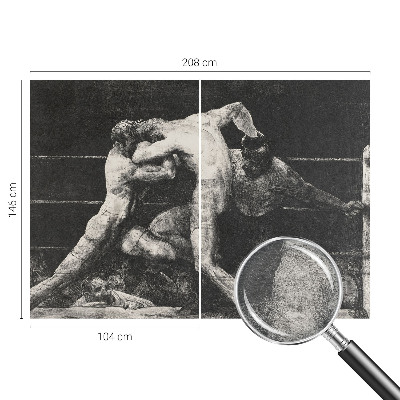 3D fototapet Boksernes duel