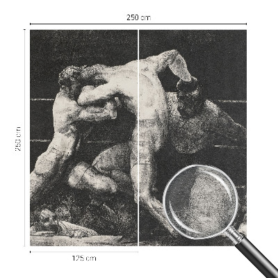 3D fototapet Boksernes duel