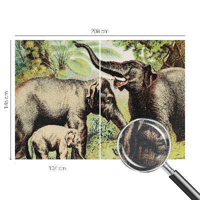 Fotostat Familie elefanter