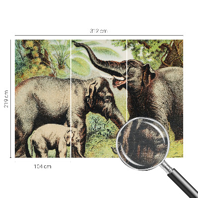 Fotostat Familie elefanter