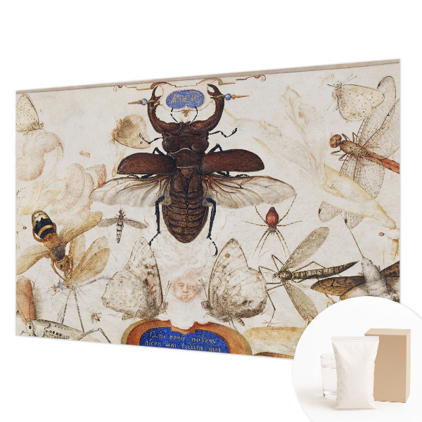 Fototapet til børn Naturlig harmoni