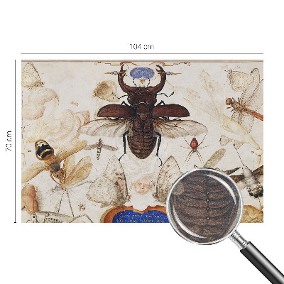 Fototapet til børn Naturlig harmoni