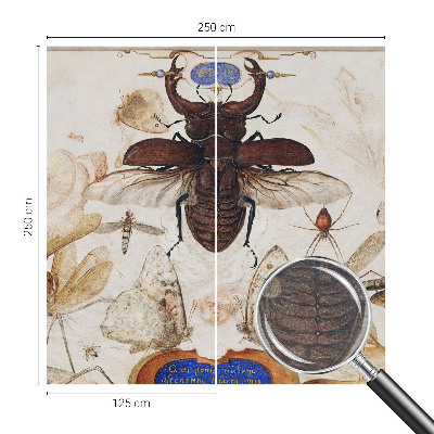 Fototapet til børn Naturlig harmoni