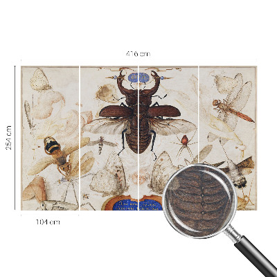 Fototapet til børn Naturlig harmoni