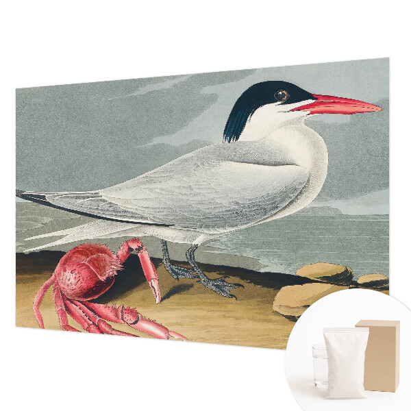 Stor fototapet Havlandskab