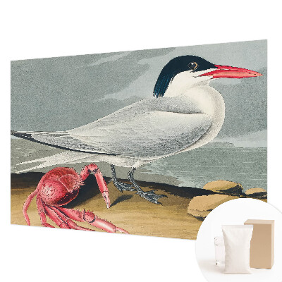 Stor fototapet Havlandskab