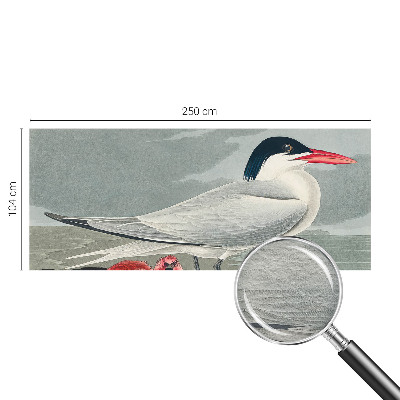 Stor fototapet Havlandskab