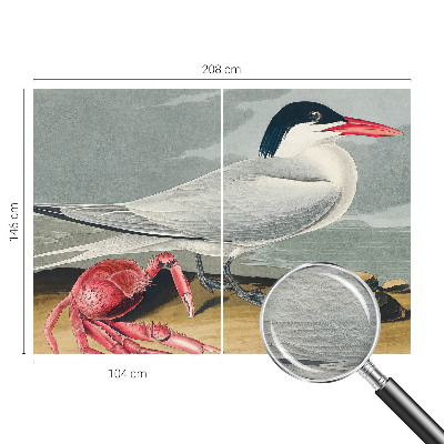 Stor fototapet Havlandskab