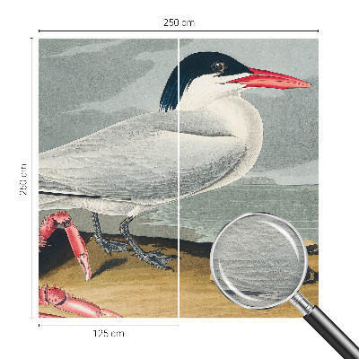 Stor fototapet Havlandskab