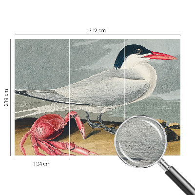 Stor fototapet Havlandskab