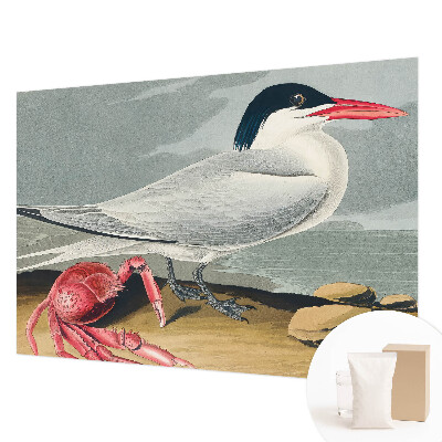 Stor fototapet Havlandskab