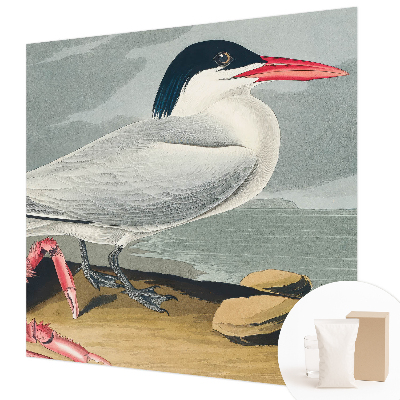 Stor fototapet Havlandskab