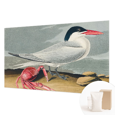 Stor fototapet Havlandskab