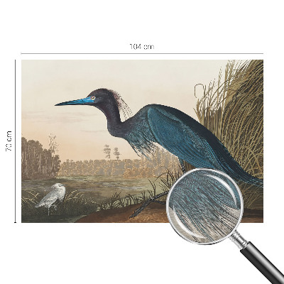 Væg tapet Vandfugle