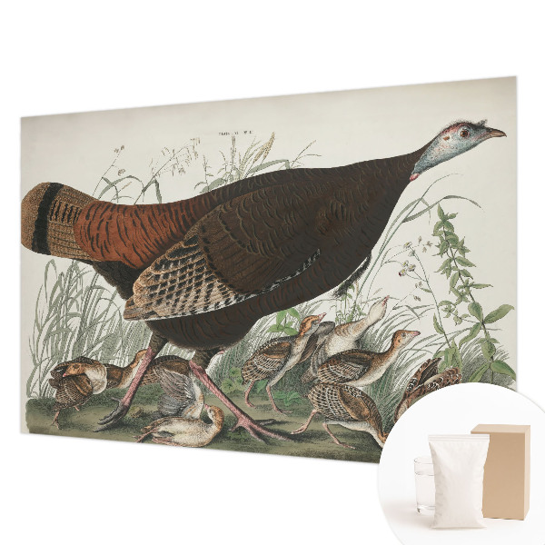 Høj kvalitet fototapet Naturlig harmoni