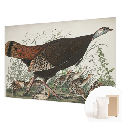 Høj kvalitet fototapet Naturlig harmoni