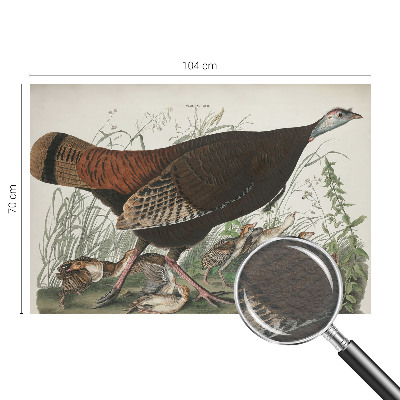 Høj kvalitet fototapet Naturlig harmoni