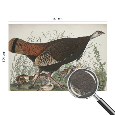 Høj kvalitet fototapet Naturlig harmoni