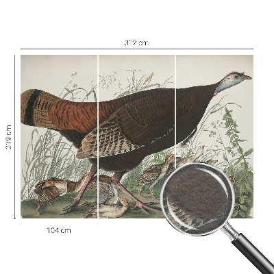 Høj kvalitet fototapet Naturlig harmoni