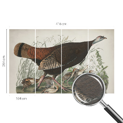 Høj kvalitet fototapet Naturlig harmoni