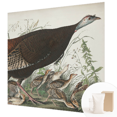 Høj kvalitet fototapet Naturlig harmoni