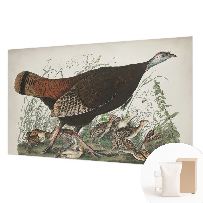 Høj kvalitet fototapet Naturlig harmoni