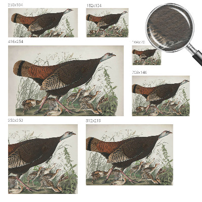 Høj kvalitet fototapet Naturlig harmoni