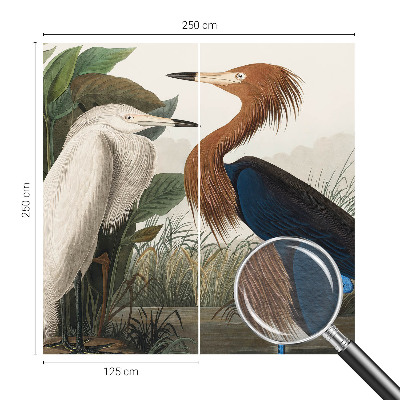 Fototapet Fugle i planter