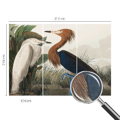 Fototapet Fugle i planter