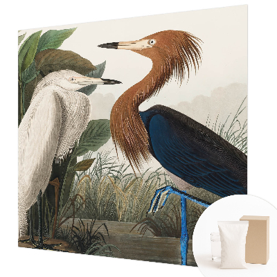 Fototapet med motiv af fugle blandt planter