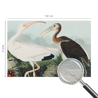 3D fototapet Fuglepar