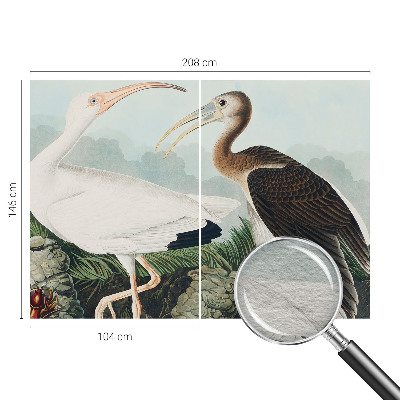 3D fototapet Fuglepar