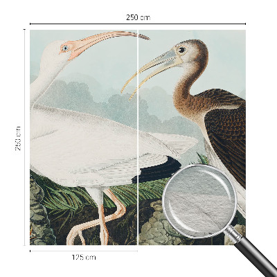 3D fototapet Fuglepar