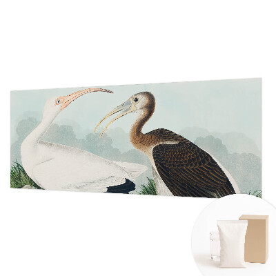 3D fototapet med motiv af fugle