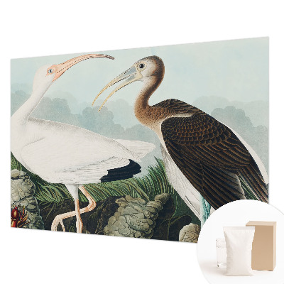 3D fototapet med motiv af fugle