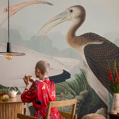 3D fototapet Fuglepar