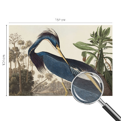 Non-woven fototapet Eksotisk natur