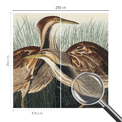 Foto tapet Realistiske fugle