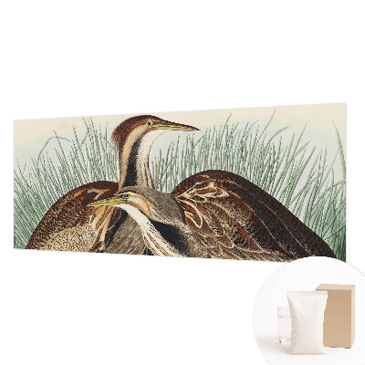 Foto tapet Realistiske fugle