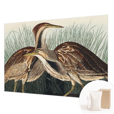 Foto tapet Realistiske fugle