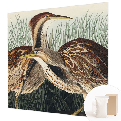 Foto tapet Realistiske fugle