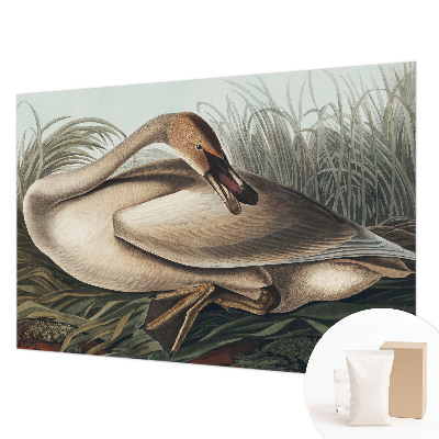 Vlies fototapet Naturlig fugl